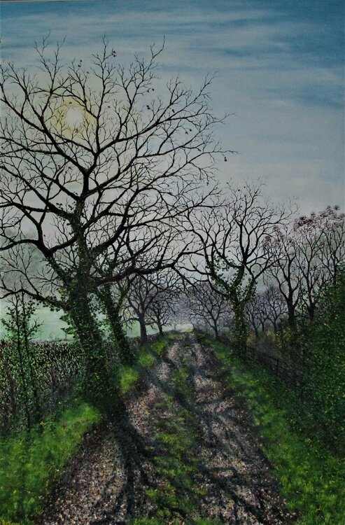Misty February Morning Hazel Thomson