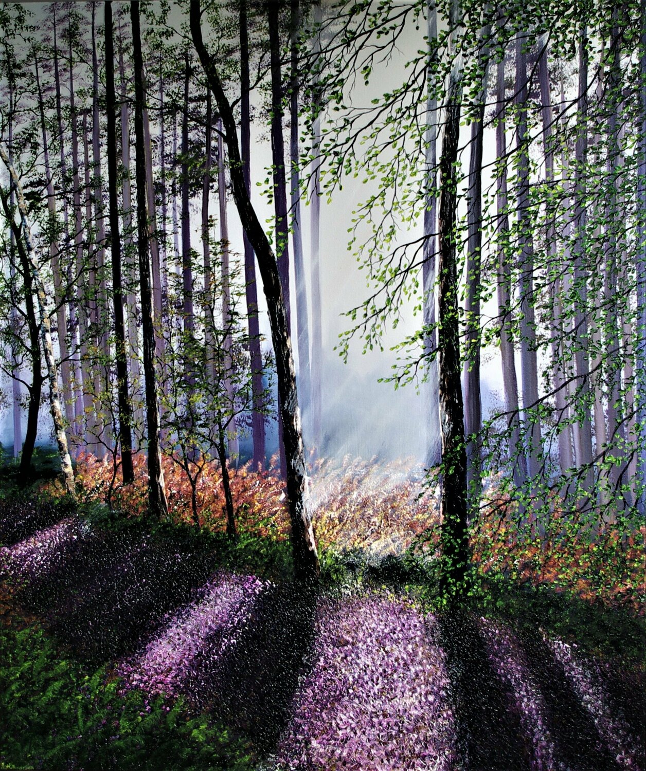 Awakening Light Through The forest Hazel Thomson