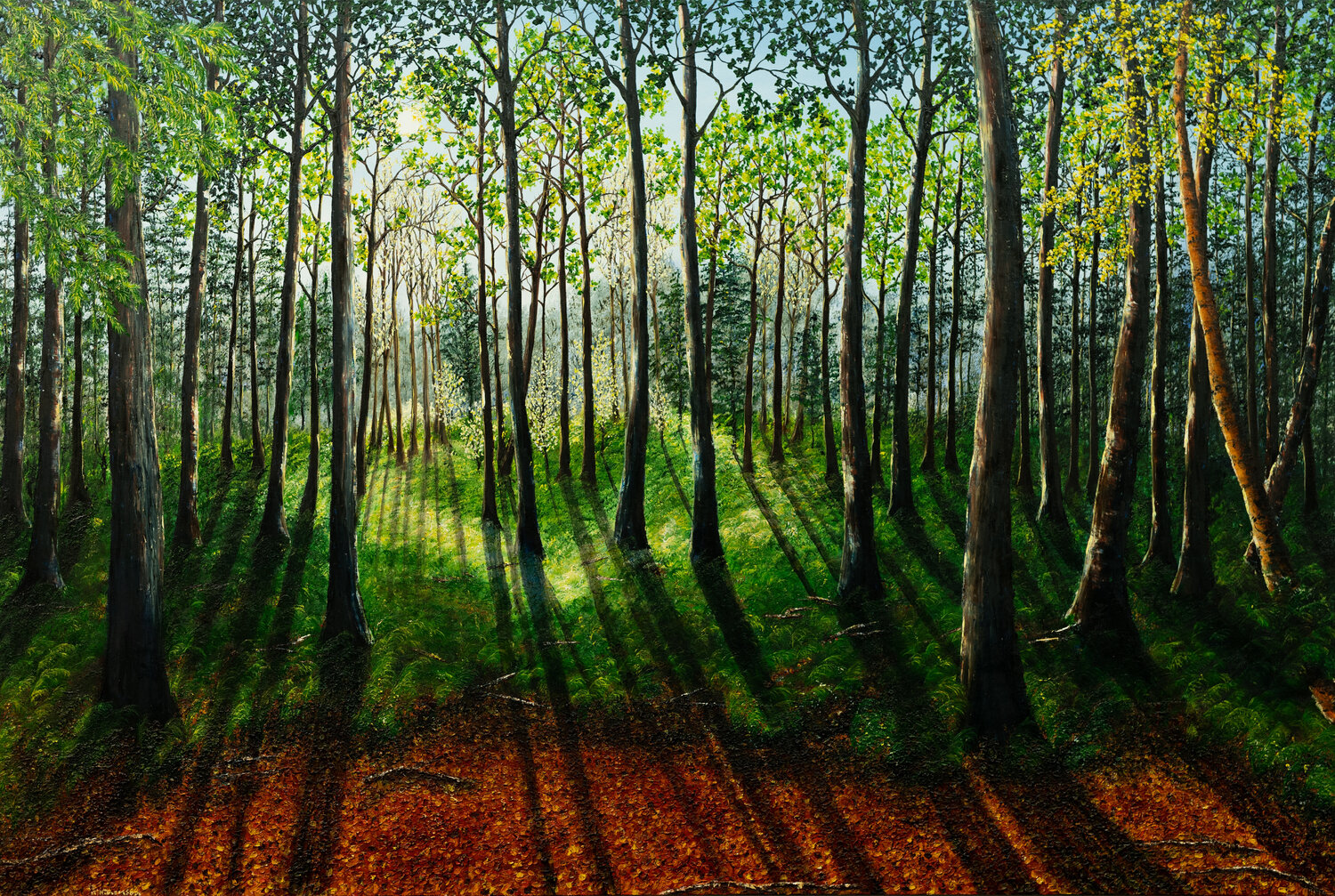 INTO THE HEART OF THE FOREST Hazel Thomson