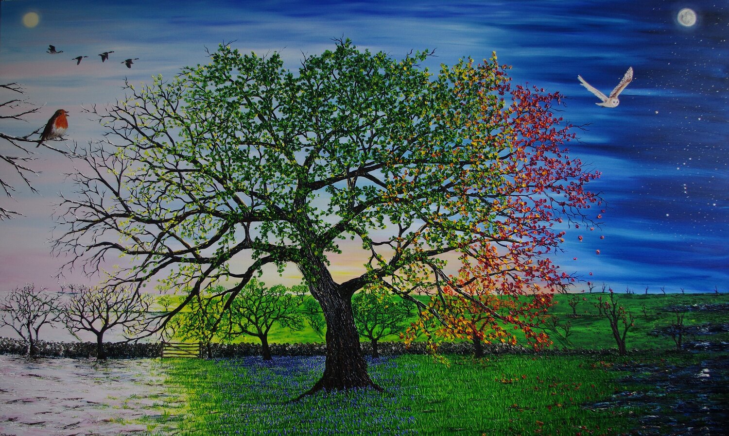 "Hope" An Oak of Our age Hazel Thomson