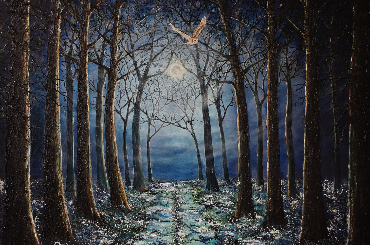Silent Night in The Forest Hazel Thomson