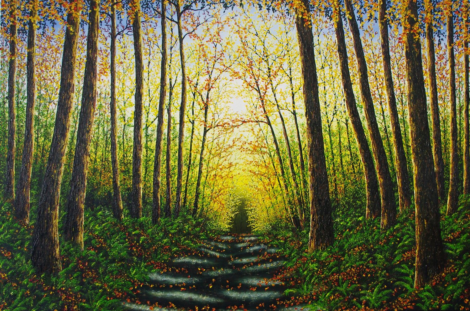 Forest Glow Hazel Thomson
