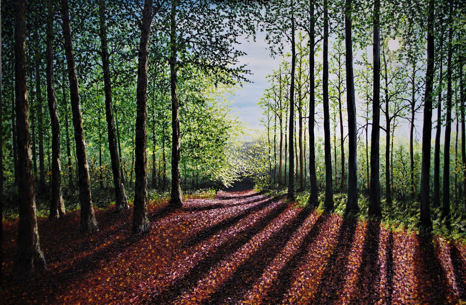 Magical Illuminated Forest Light Hazel Thomson