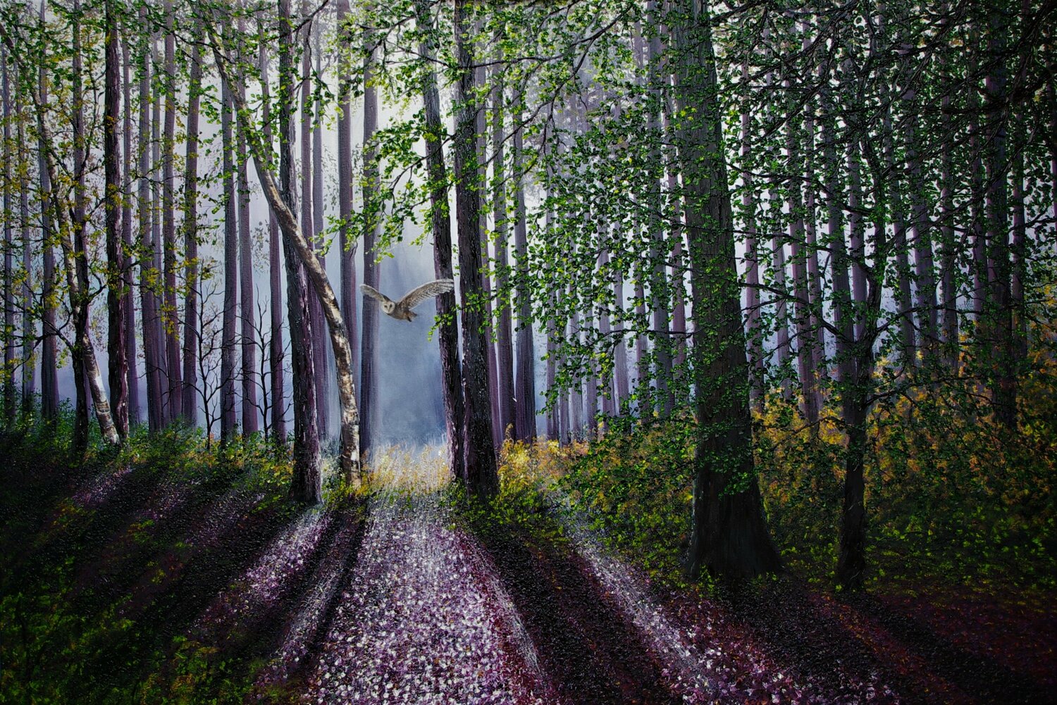 A Shaft Of Forest Light Hazel Thomson