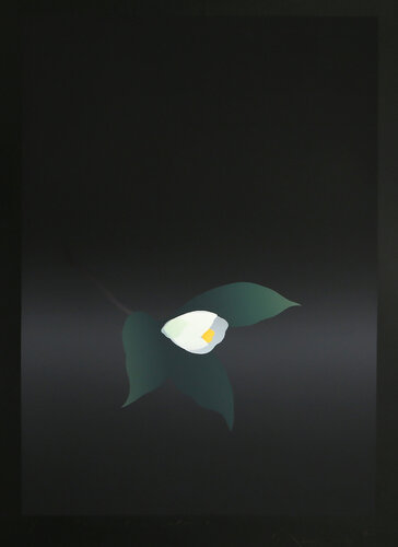 Camellia Slant by Kozo Inoue, 인쇄 for Sale on Singulart