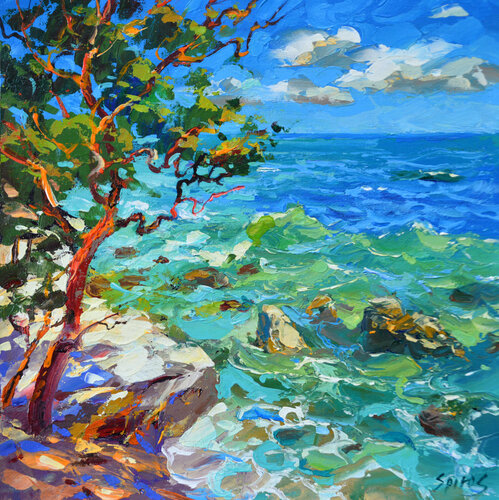 Caribbean sea at noon di Dmitry Spiros, Pittura in vendita su Singulart