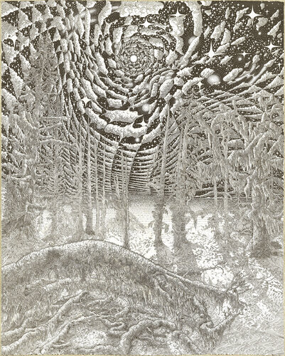 Hoh Rainforest par Justin Lovato, Œuvre sur papier en vente sur Singulart