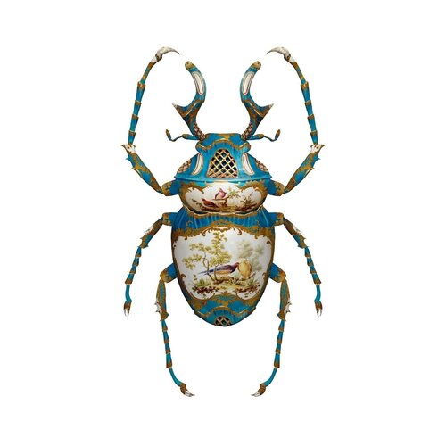 Sevres Dicranocephalus Wallichii by Magnus Gjoen, Print for Sale on Singulart