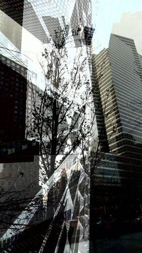 Skyline Tree di Rodrigo Tamayo, Fotografia in vendita su Singulart