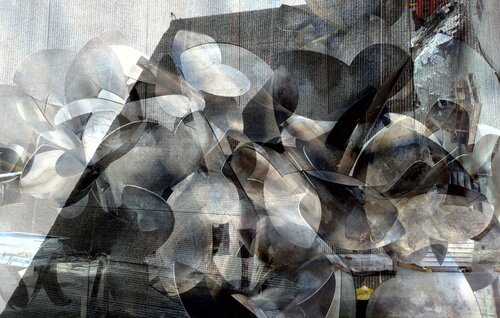Outer butterflies von Rodrigo Tamayo, Fotografie kaufen auf Singulart