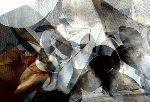 Inner butterflies di Rodrigo Tamayo, Fotografia in vendita su Singulart