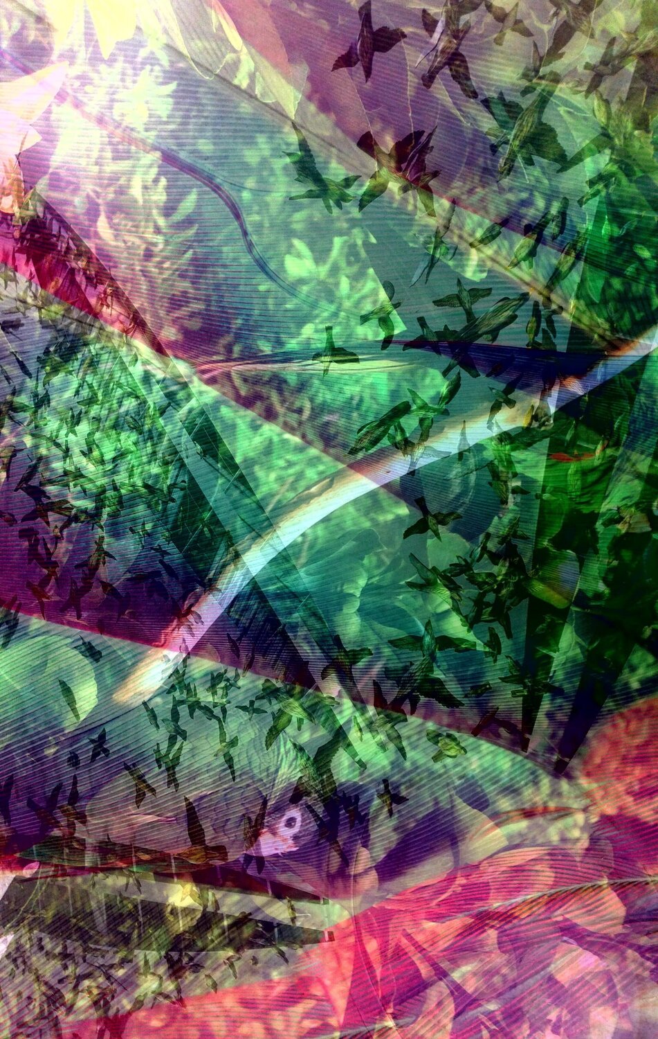 Jungle feathers Rodrigo Tamayo Fotografie zu verkaufen