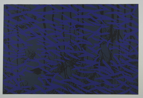 Blue Leaves with Frogs Heads par Lin Onus, Édition en vente sur Singulart