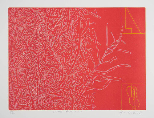 Lake Botanical di Robert Jacks, Stampa in vendita su Singulart