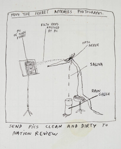 SEND PICS CLEAN AND DIRTY TO NATION REVIEW... von Michael Leunig, Werk auf Papier kaufen auf Singulart