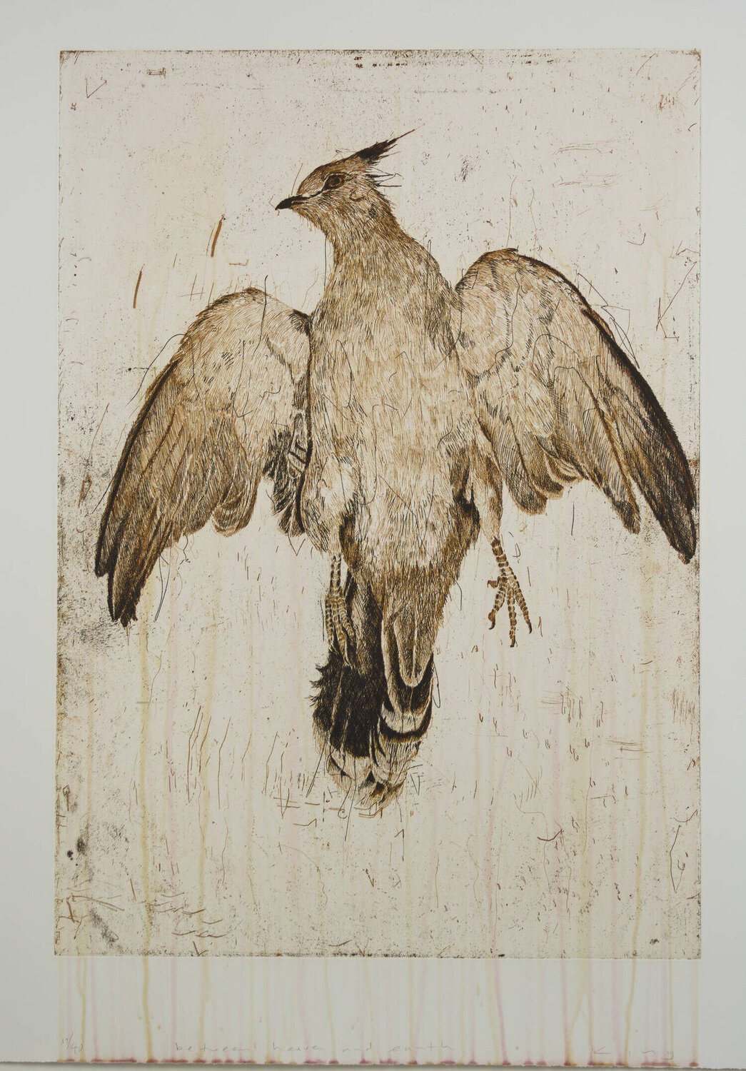 Between Heaven and Earth Martin King