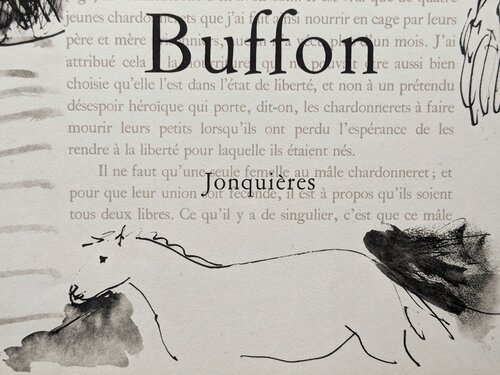 Horse-Limited edition original lithograph, 1957 by Pablo Picasso, Work on Paper for Sale on Singulart