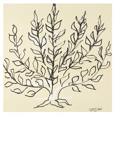 Le Buisson - Large plate signed lithograph, after Matisse artwork from 1950s von Henri Matisse, Werk auf Papier kaufen auf Singulart