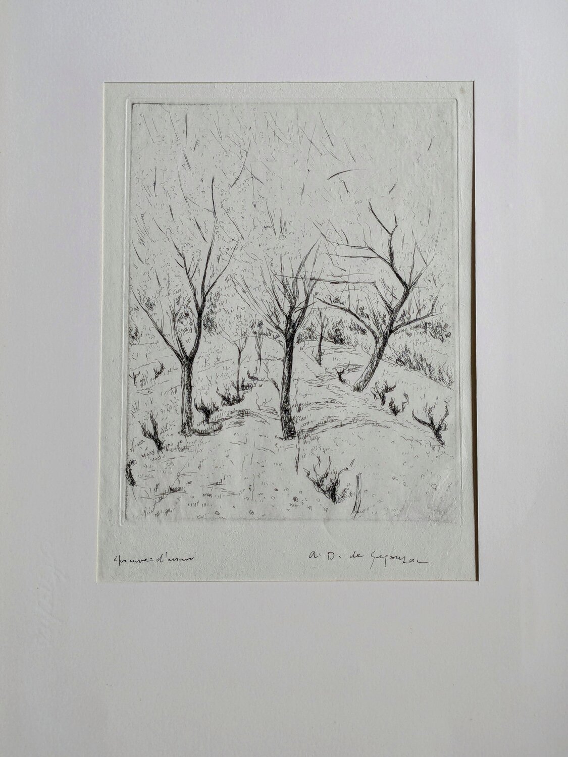 Landscape with trees - Hand-Signed Etching, 1950's André Dunoyer de Segonzac Werk auf Papier zu verkaufen