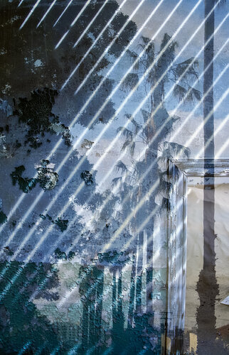 striped palm trees von Nicole Wiedenbeck, Fotografie kaufen auf Singulart