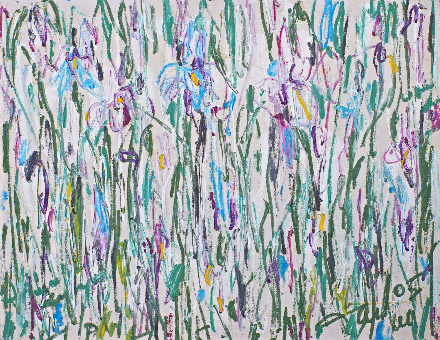 Irises Dima Filatov