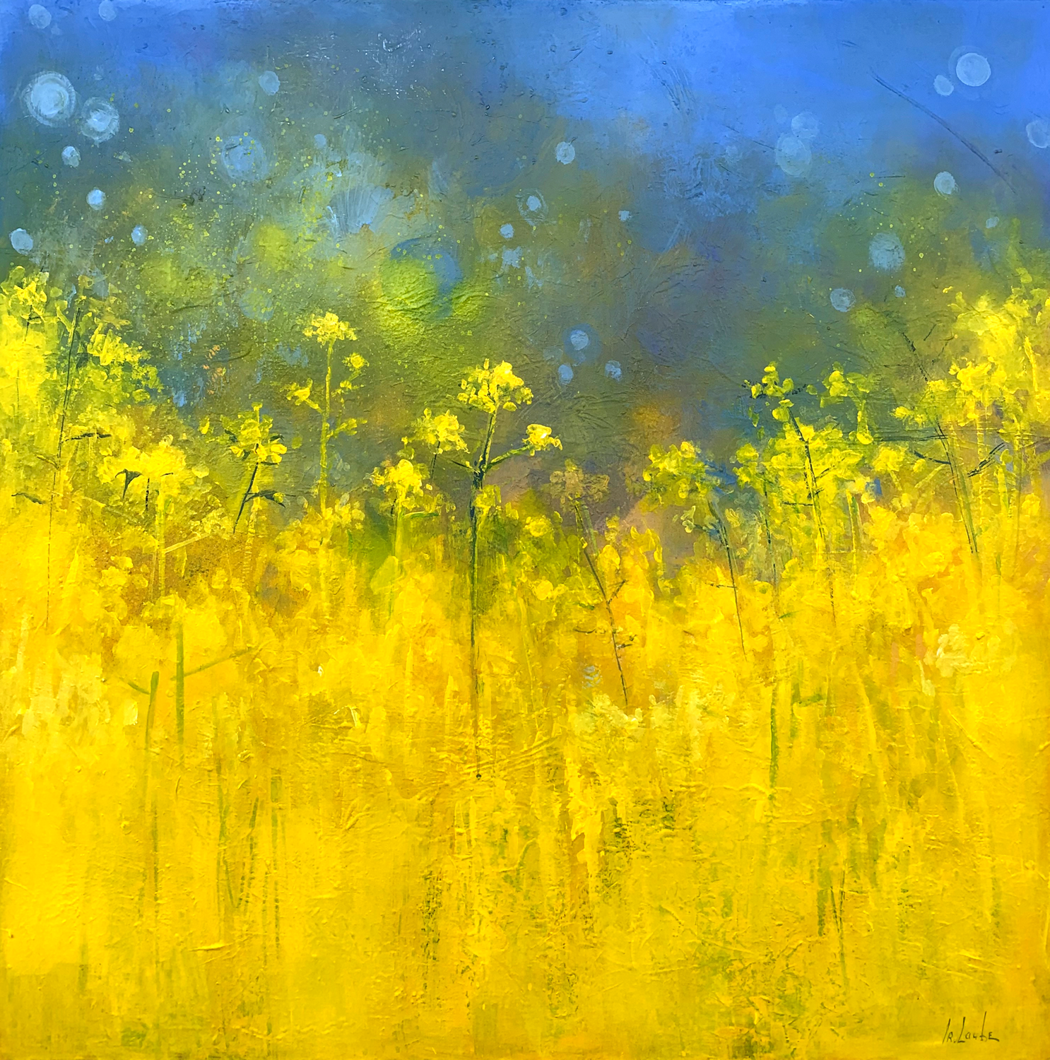 Raps flowers Irina Laube