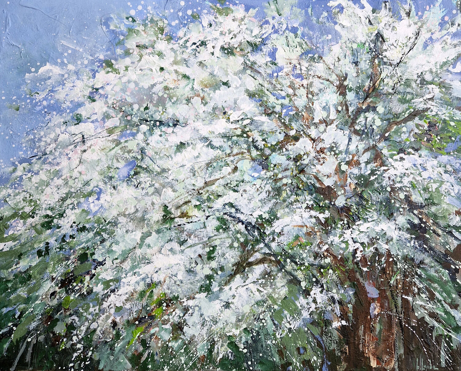 Spring Irina Laube