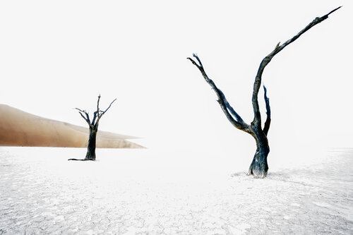 Suspended in Time: Deadvlei di Emiliano Vegliante, Fotografia in vendita su Singulart