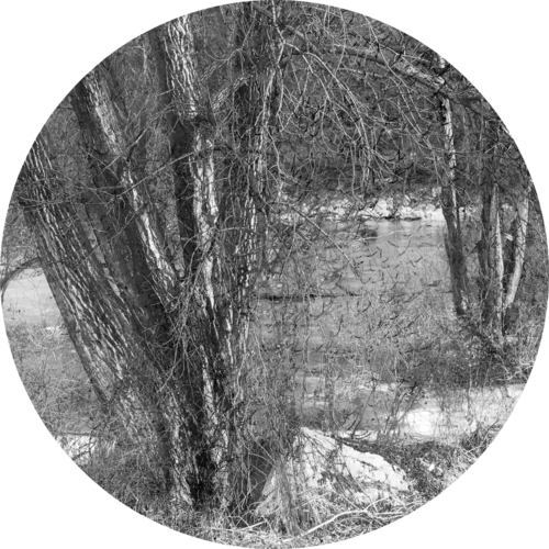 substance6 van Emiliano Vegliante, Fotografie te koop op Singulart