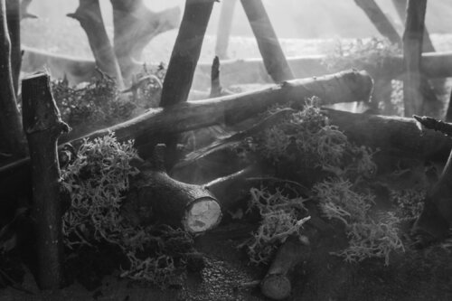 micromondo 1 de Emiliano Vegliante, Fotografía a la venta en Singulart