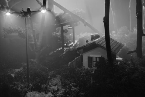 micromondo 4 van Emiliano Vegliante, Fotografie te koop op Singulart