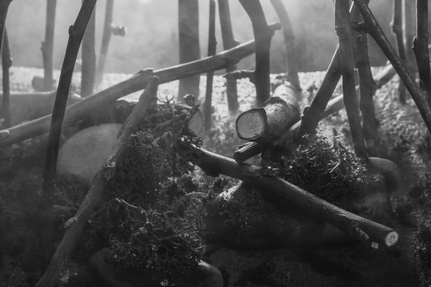 micromondo 3 Emiliano Vegliante