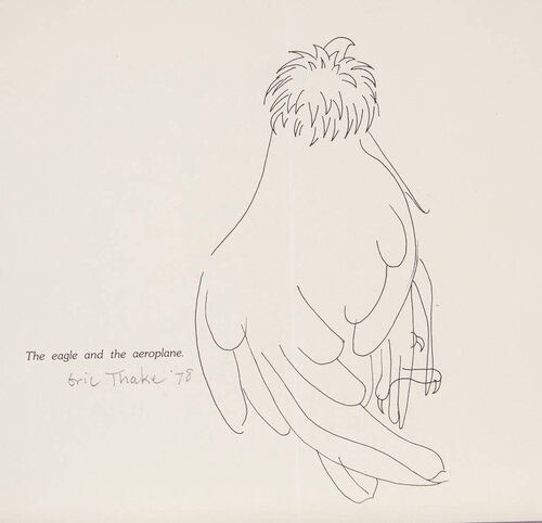 The eagle and the aeroplane von Eric Thake, Druck kaufen auf Singulart