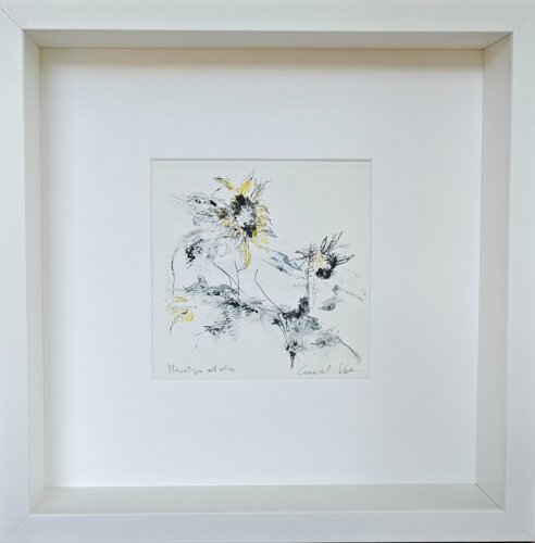 Sunflowers by VALNEA CARNIEL, Work on Paper for Sale on Singulart