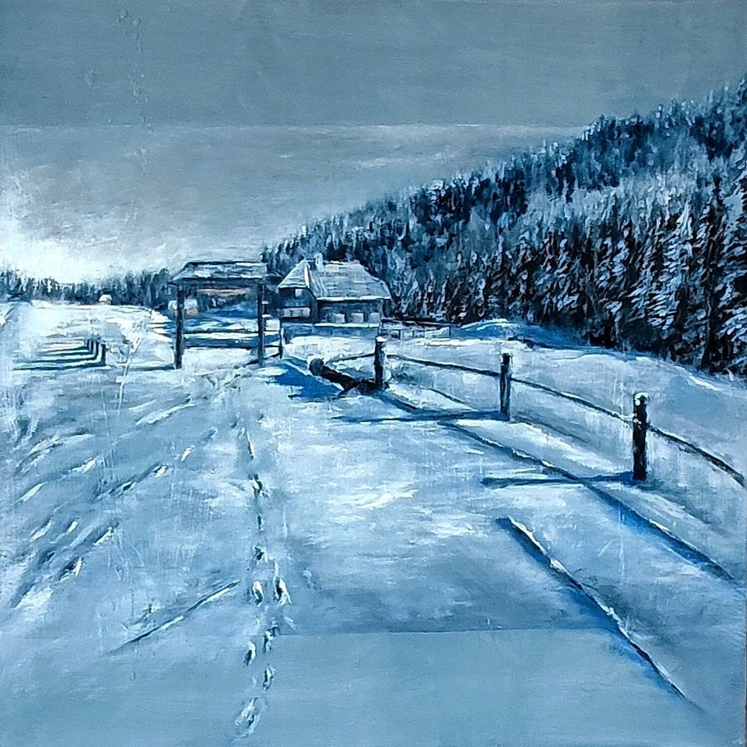 Silenzio e magia...2 VALNEA CARNIEL