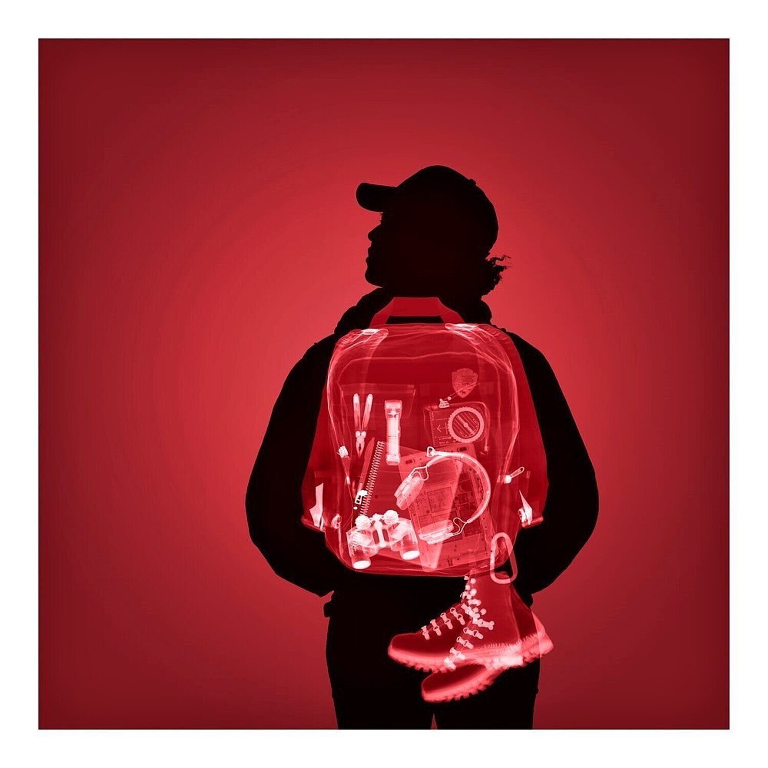 Lost in Cassis David Arky