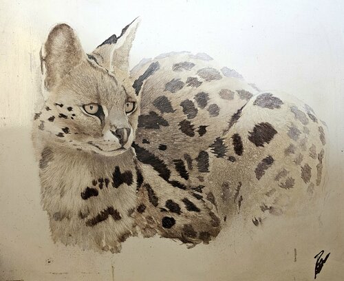 Serval en brousse... van georges Rossi, Schilderij te koop op Singulart