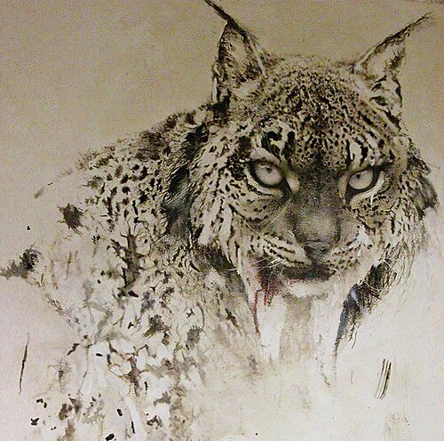 Lynx pardelle ou ibérique van georges Rossi, Schilderij te koop op Singulart