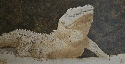 Crocodile du nil.... van georges Rossi, Schilderij te koop op Singulart