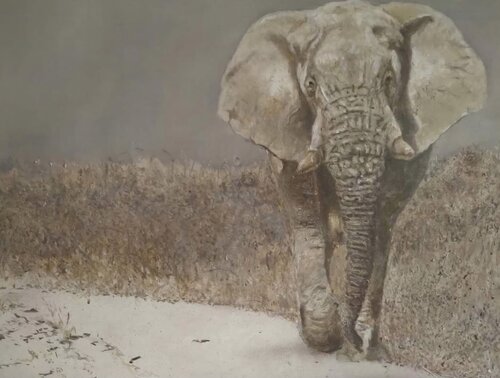 Elephant  a la recherche d eau van georges Rossi, Schilderij te koop op Singulart