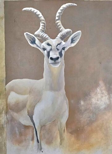 Gazelle cervicapre van georges Rossi, Schilderij te koop op Singulart