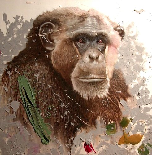 Chimpanze van georges Rossi, Schilderij te koop op Singulart
