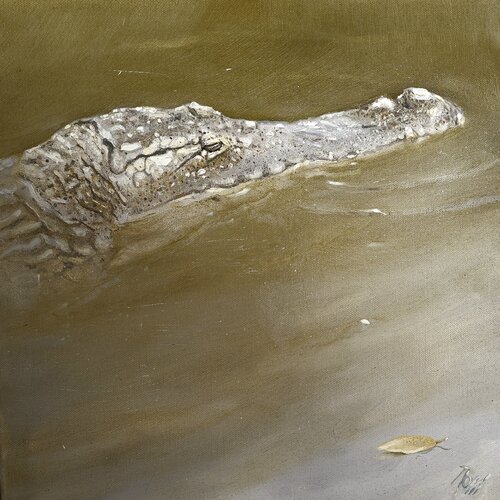 Crocodile van georges Rossi, Schilderij te koop op Singulart