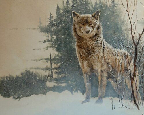 Loup d europe van georges Rossi, Schilderij te koop op Singulart