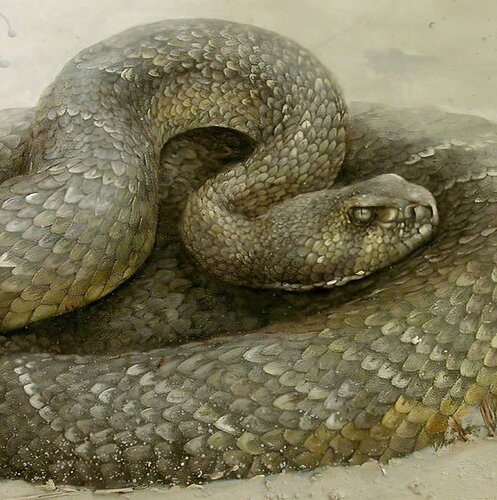 Crotal diamentin van georges Rossi, Schilderij te koop op Singulart