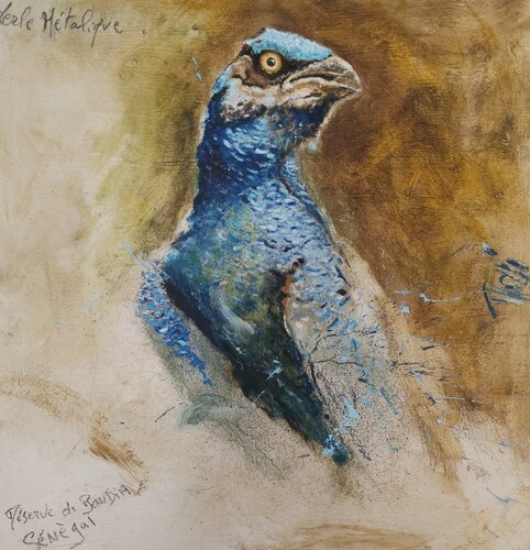 Merle metalique Senegal van georges Rossi, Schilderij te koop op Singulart
