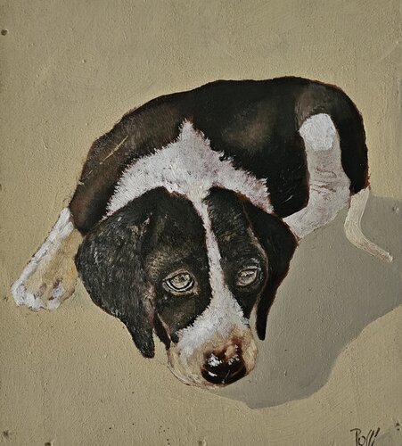 Petit chien laobé von georges Rossi, Malerei kaufen auf Singulart