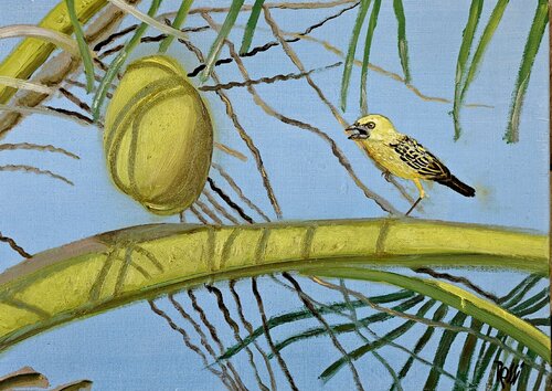 Tisserin et cocotier Senegal von georges Rossi, Malerei kaufen auf Singulart