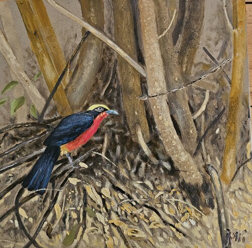 Gonelek le plus belle oiseau de mon Jardin de georges Rossi, Pintura a la venta en Singulart