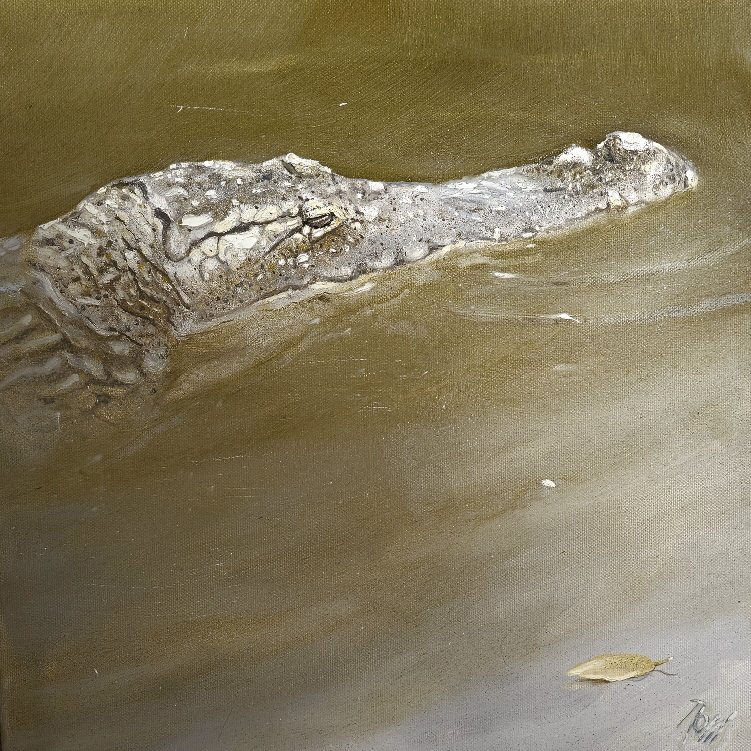 Crocodile georges Rossi